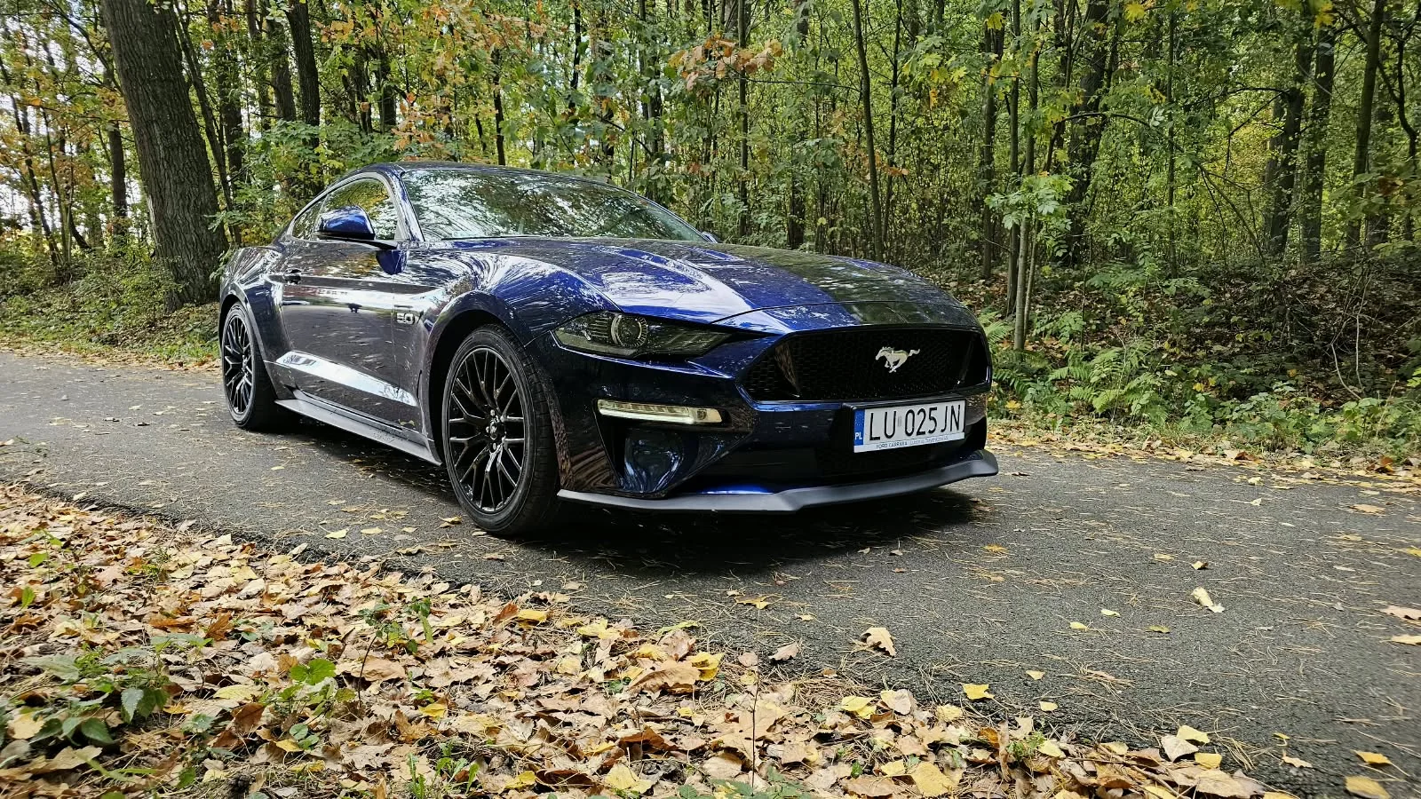 Granatowy Ford Mustang GT 5.0 na leśnej drodze